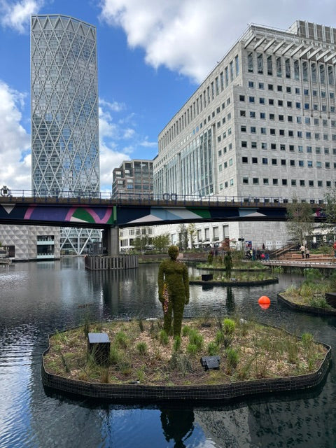 Bringing Nature back to Cities at Eden Dock, Canary Wharf!